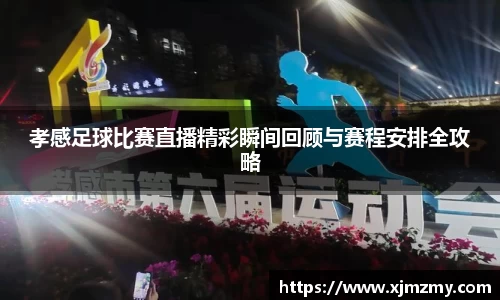 孝感足球比赛直播精彩瞬间回顾与赛程安排全攻略