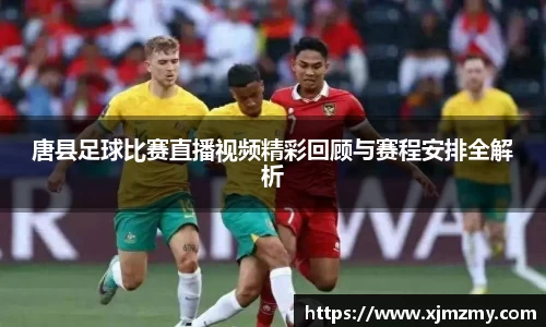 唐县足球比赛直播视频精彩回顾与赛程安排全解析