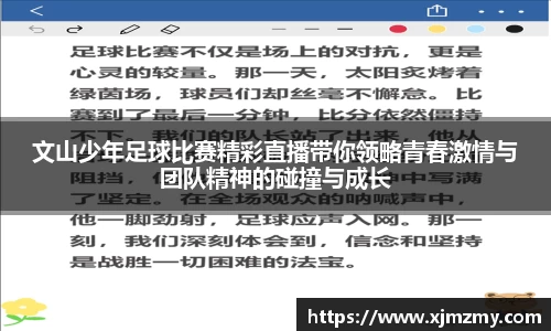 文山少年足球比赛精彩直播带你领略青春激情与团队精神的碰撞与成长