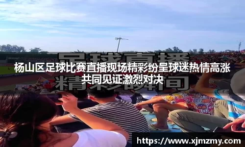 杨山区足球比赛直播现场精彩纷呈球迷热情高涨共同见证激烈对决